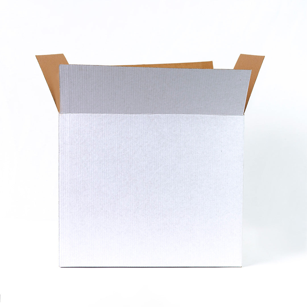 Caja Regular  Blanca 30x20x25